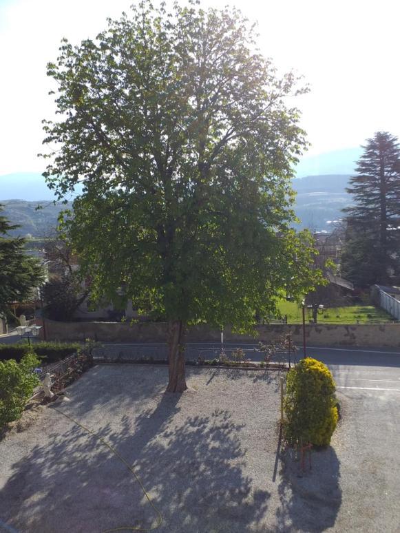 Hotel Villa Mayr Rooms & Suites Bressanone Kültér fotó